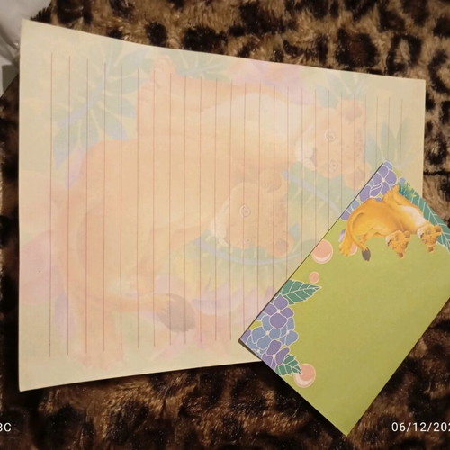 Correspondence used, 1 folder with set sheets
