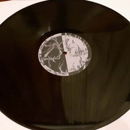Active Member Diamartyria LP near mint 2006 reissue
