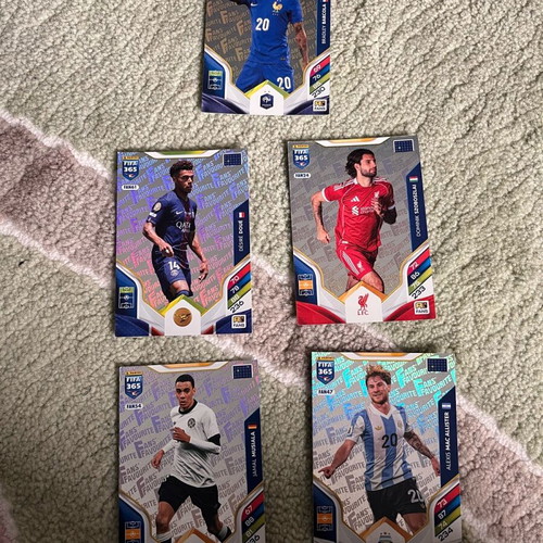 Fans Favorite Grey Panini 2026 cards like new