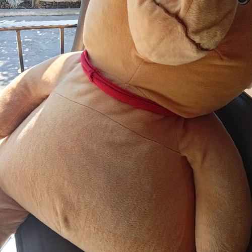 Large teddy bear and small teddy bear set