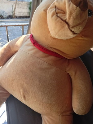Large teddy bear and small teddy bear set