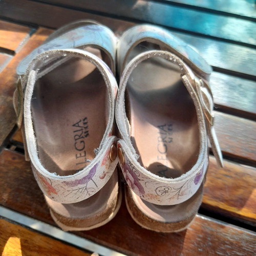 Alegria sandals used, size 28, multicolor