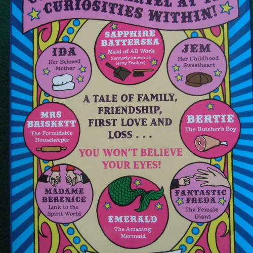 English Children's Book Sapphire Battersea Jacqueline Wilson like new