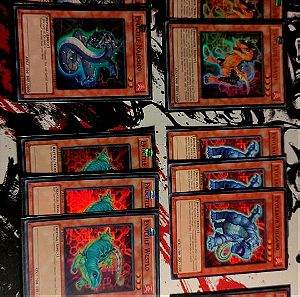 Evoltile/Evolsaur Deck Core (42 κάρτες), Yu-Gi-Oh