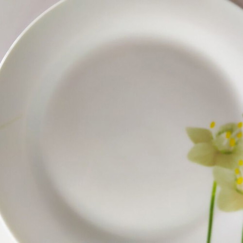 Shallow serving plates used, set of 2 with gift smaller shallow 19cm