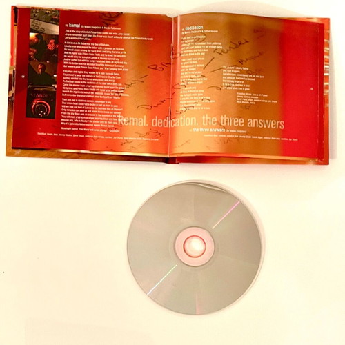 Raining Pleasure Reflections CD like new, entechno