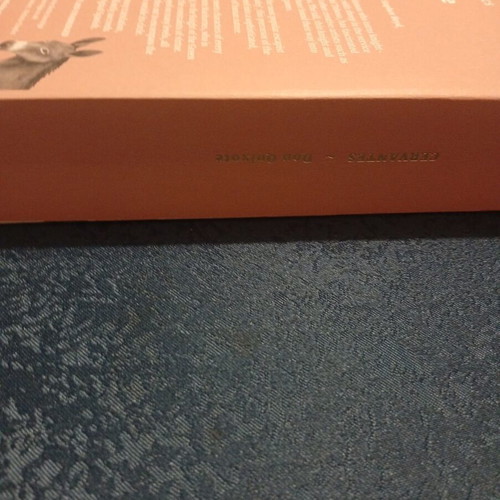 Don Quixote Paperback like new, English