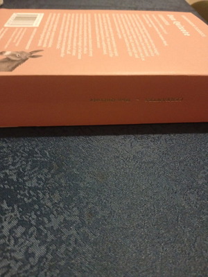 Don Quixote Paperback like new, English