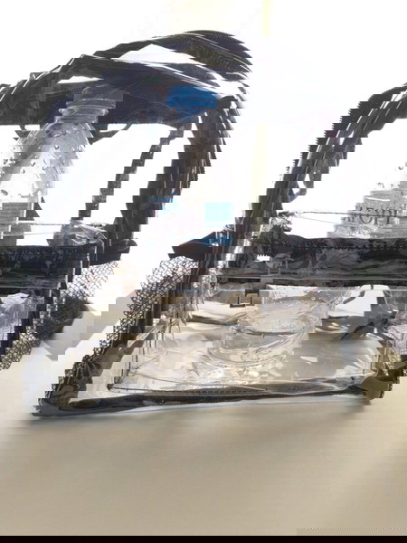 Transparent backpack
