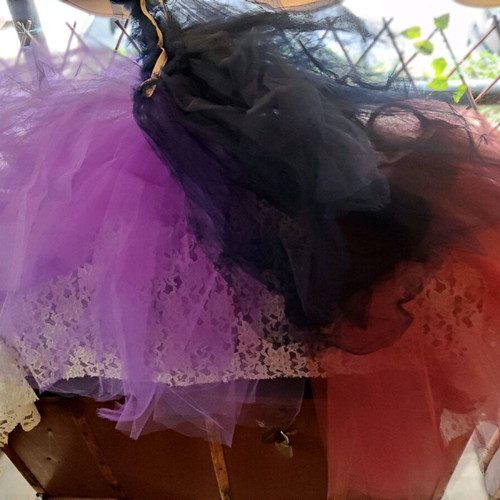3€ each. There are five wing and skirt costumes.