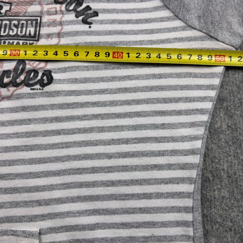 Harley-Davidson gray striped raglan sweatshirt used, size S