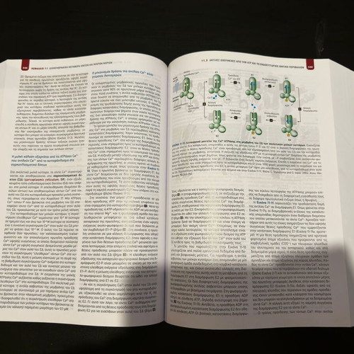 Molecular Cell Biology new edition 2019 by Utopia