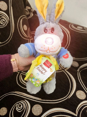 Plush Bunny new with chocolates and candies, Old MacDonald Had a Farm