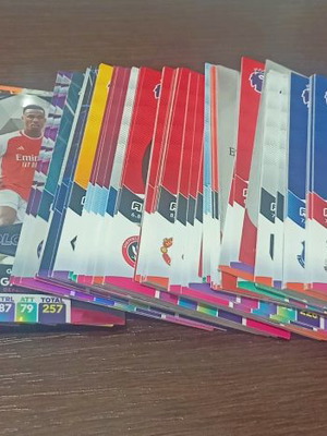 Premier League Panini 2024 καινούργιο, 175 διαφορετικά νούμερα
