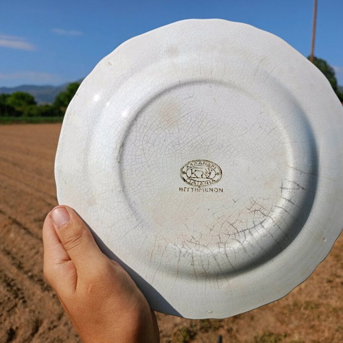 Decorative plate used with flowers Greek vintage production
