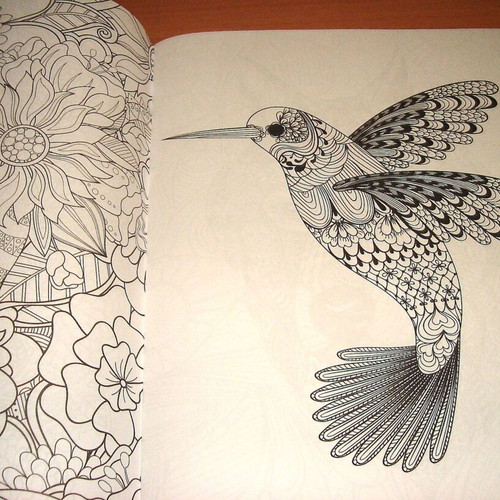Anti-Stress Coloring Book for Children and Adults like new