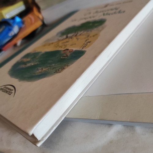 The Holidays of Little Nicolas children's book like new