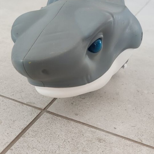 Wind-up shark toy used