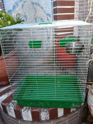 Bird Cage like new for birds and rodents
