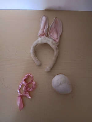Accessories for rabbit costume