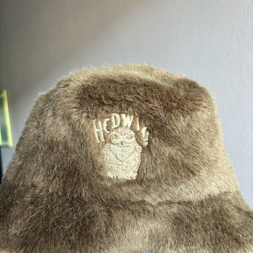 Harry Potter hat