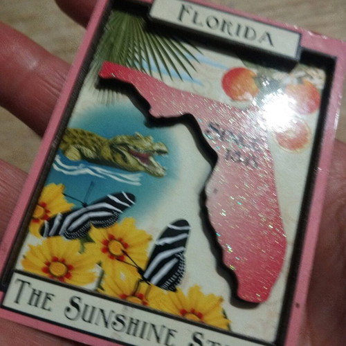 Florida magnet used