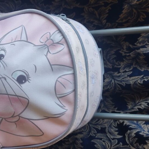 Gim Marie kindergarten trolley school bag used