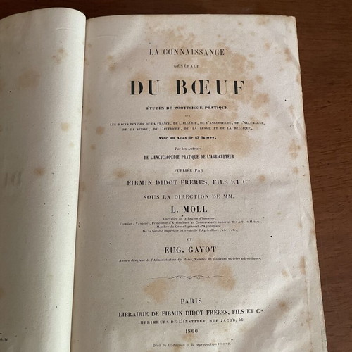 Eug. Gayot-L. Moll La Connaissance Generale Du Boeuf βιβλίο μεταχειρισμένο, γαλλικά 1860