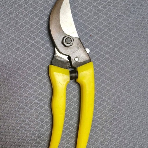 Pruning shears new general use for branches and plants