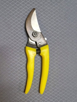 Pruning shears new general use for branches and plants