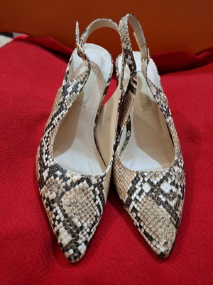 Primadonna Collection pumps like new, size 36, beige brown