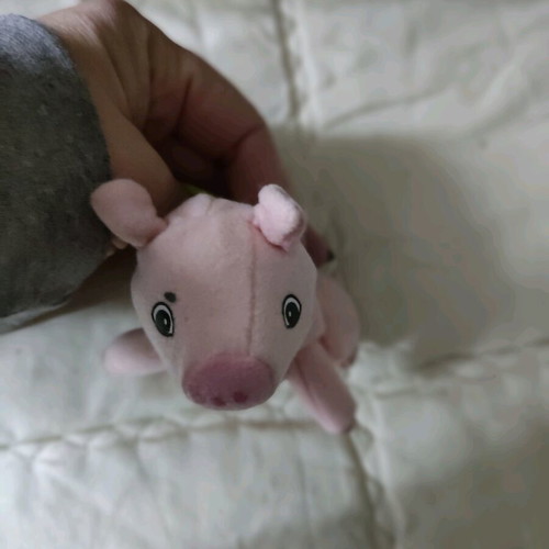 Small plush used with pouch and ring