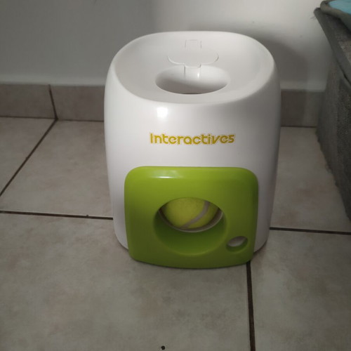 Dog toy with tennis ball