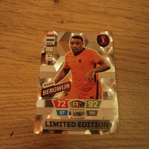 Panini Qatar limited edition xl Steven Bergwijn card new