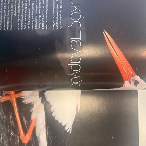 Nature Explore Feathered World book new with lens by Giorgos Avagianou