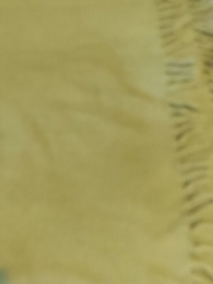 Ariston wool blanket used