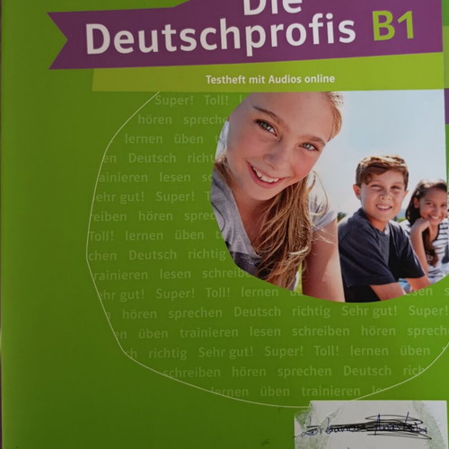 Deutschprofis B1.1 Language Learning Book like new, German