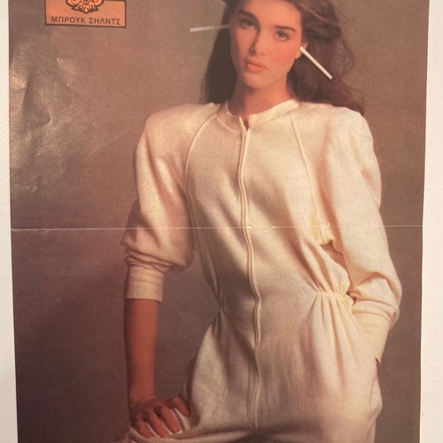 Brooke Shields Insert Poster from Katerina Magazine In good condition Price 5 Euro