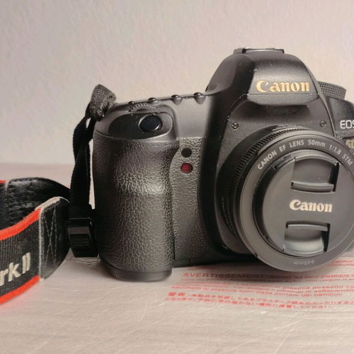Canon 5D Mark II camera and EF 50mm f/1.8 STM lens used