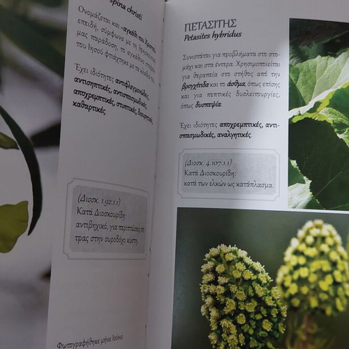 Wild plants and herbs of Vermio with references to Dioscorides by N. Bampas 2015, published by Kyriakidis