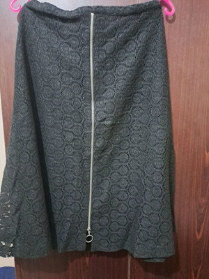 Zara skirt new, lace see through, size Large, alpha line