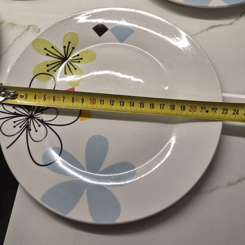 Dinner plates, set of 5