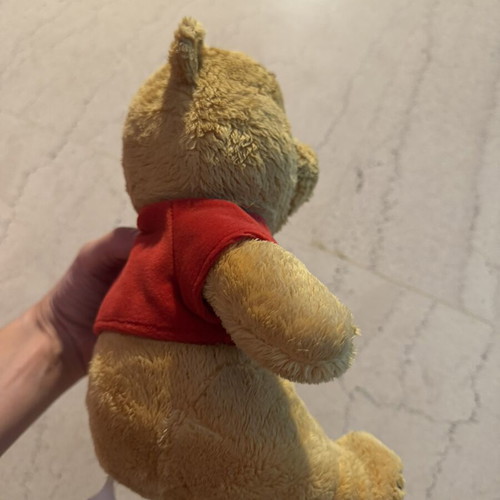 Winnie the Pooh plush toy