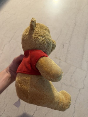 Winnie the Pooh plush toy