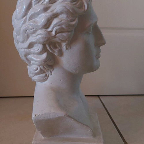 Bust of Alexander the Great gypsum like new