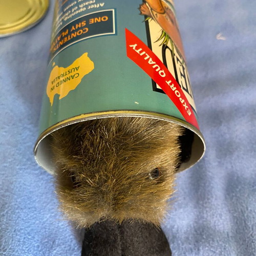 Plush Platypus Toy new in gift tin from Australia