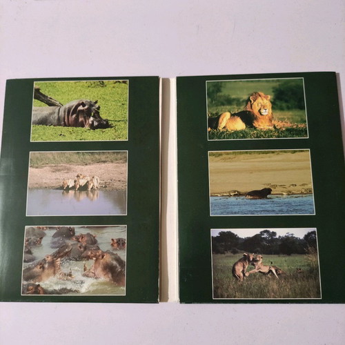 Wild Animals Documentary DVD 7 DVDs like new