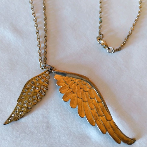 Pendant wings used with long chain