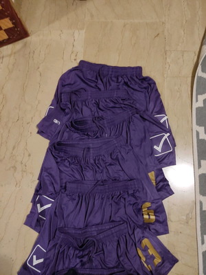 Givova sports shorts new, pack of 12, purple