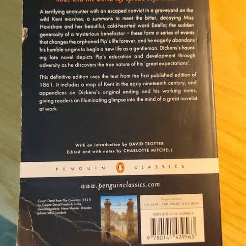 Great Expectations book used, English